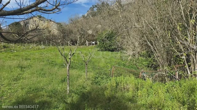 Finca/Casa Rural de 2 habitaciones en Peñamellera Alta en venta - 119.000 € (Ref: 9715299)