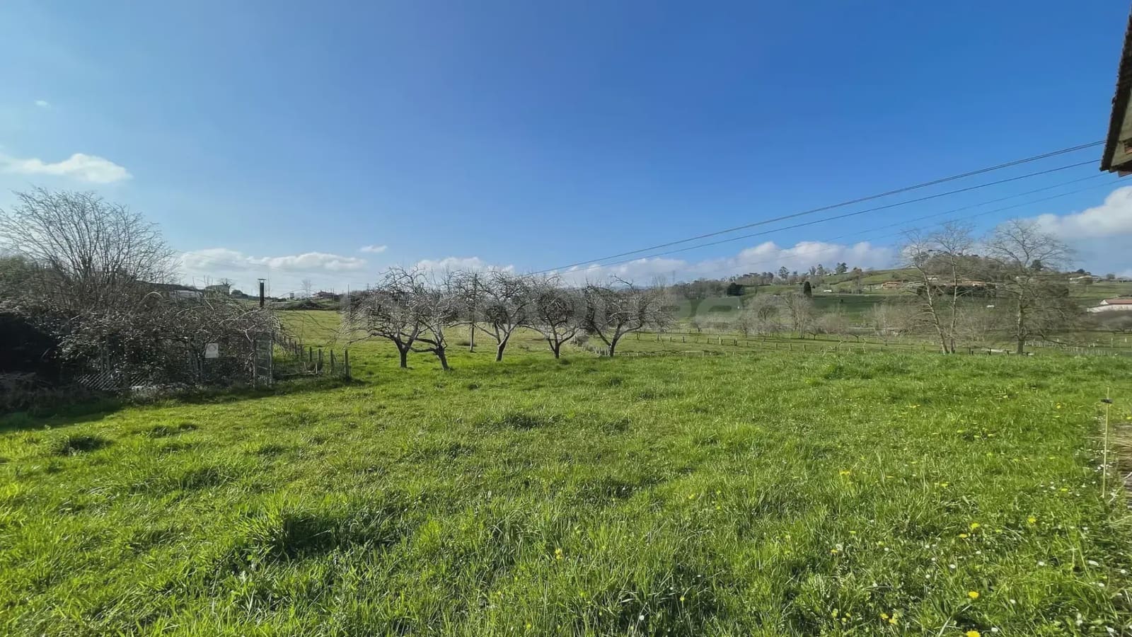 5 bedroom Finca/Country House for sale in Nava with garage - € 130,000 (Ref: 9715305)