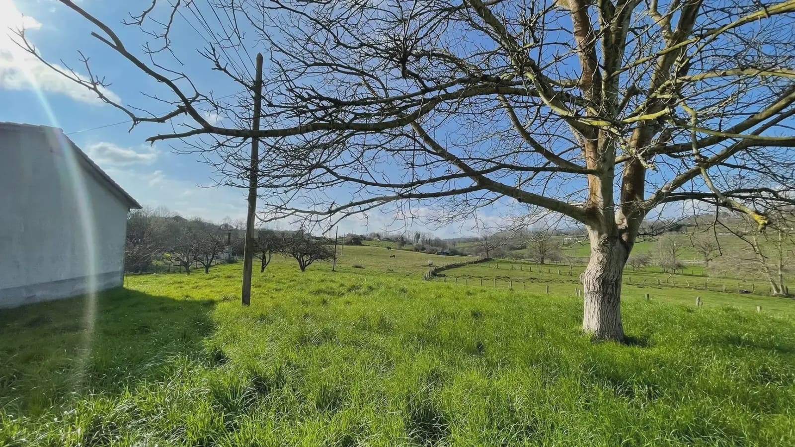 5 bedroom Finca/Country House for sale in Nava with garage - € 130,000 (Ref: 9715305)