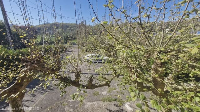 3 soveværelse Finca/Landehus til salg i Nava - € 135.000 (Ref: 9715310)