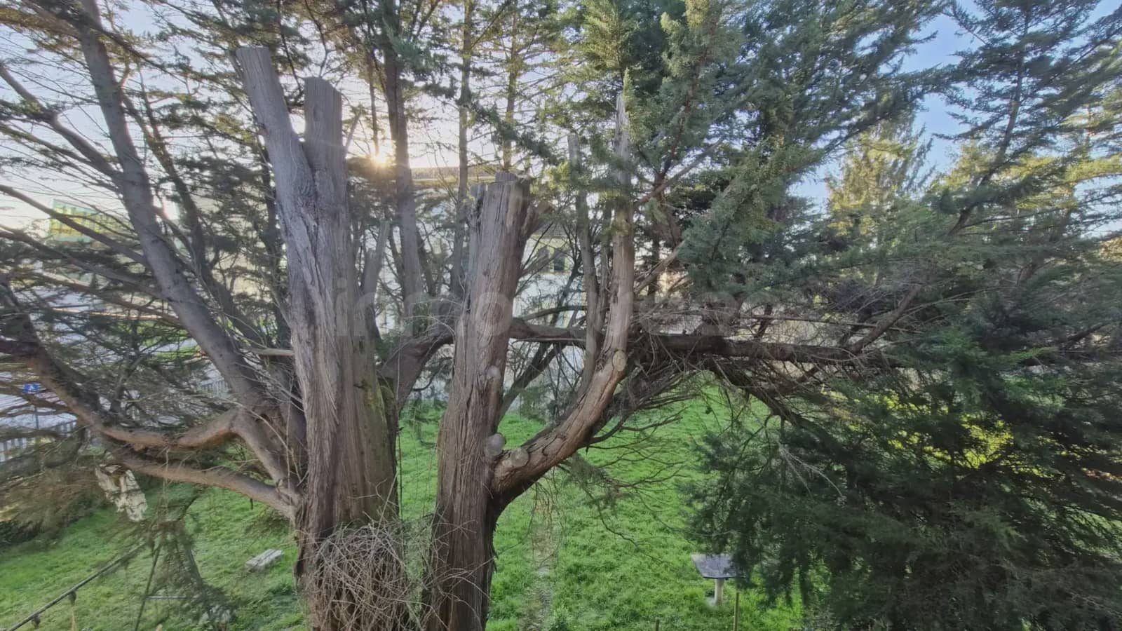 8 slaapkamer Appartement te koop in Pola de Siero - € 320.000 (Ref: 9715311)