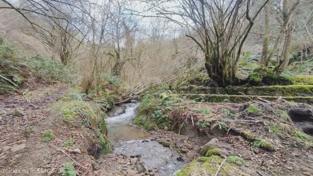 3 Zimmer Finca/Landgut zu verkaufen in Bimenes - 59.000 € (Ref: 9715314)