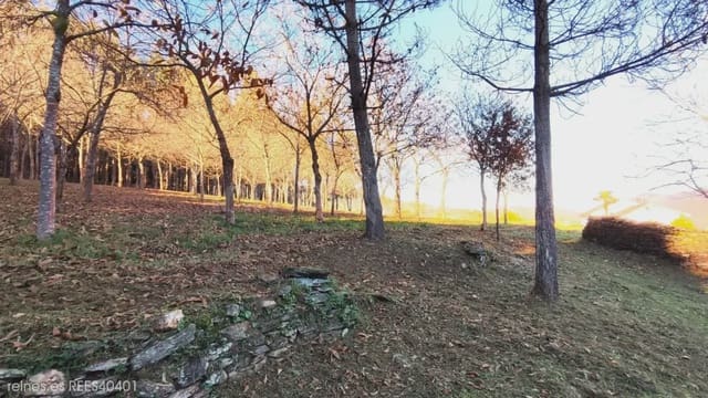 Building Plot for sale in A Pontenova - € 70,000 (Ref: 9725014)