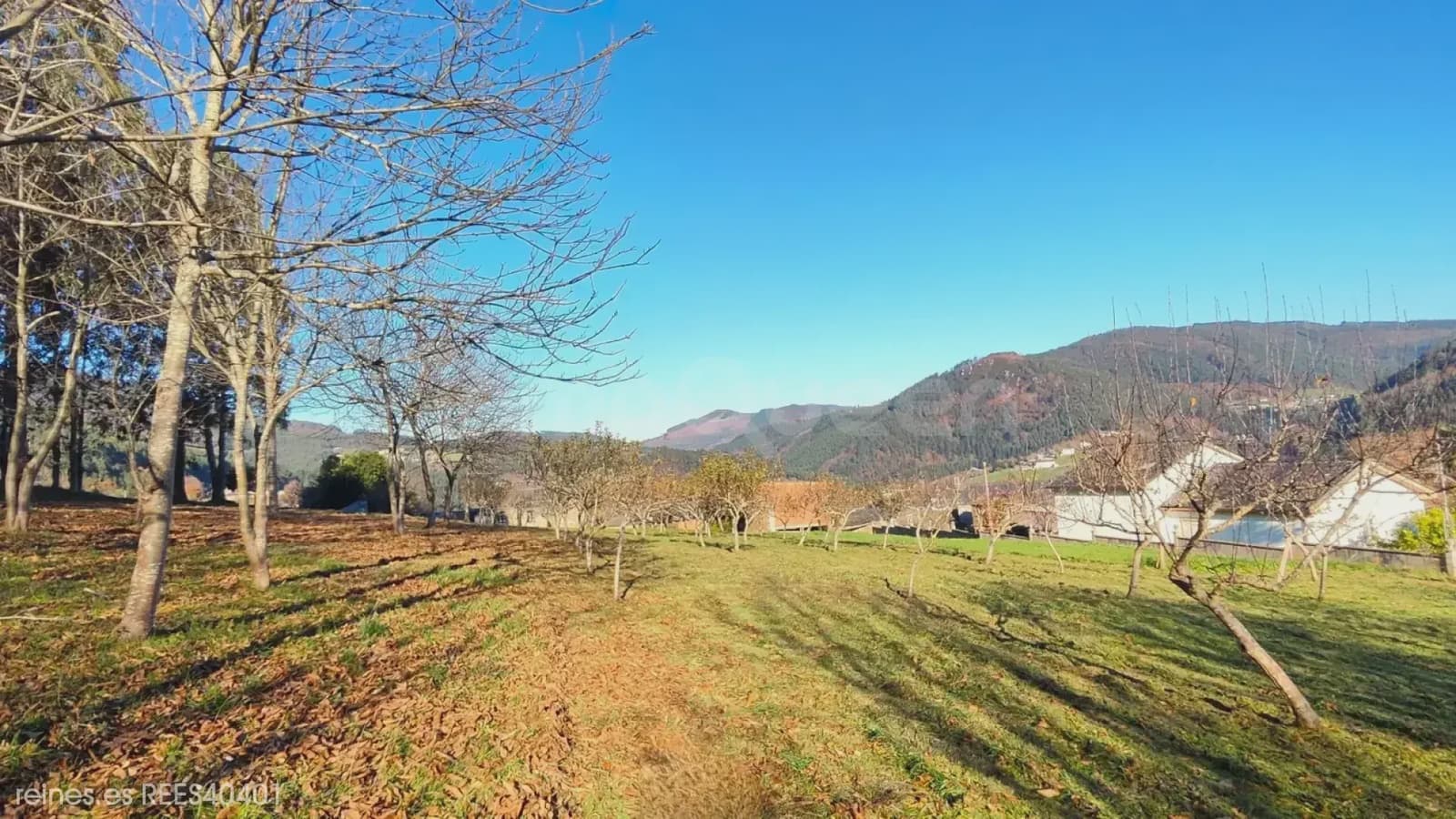 Building Plot for sale in A Pontenova - € 70,000 (Ref: 9725014)