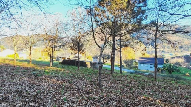 Building Plot for sale in A Pontenova - € 70,000 (Ref: 9725014)