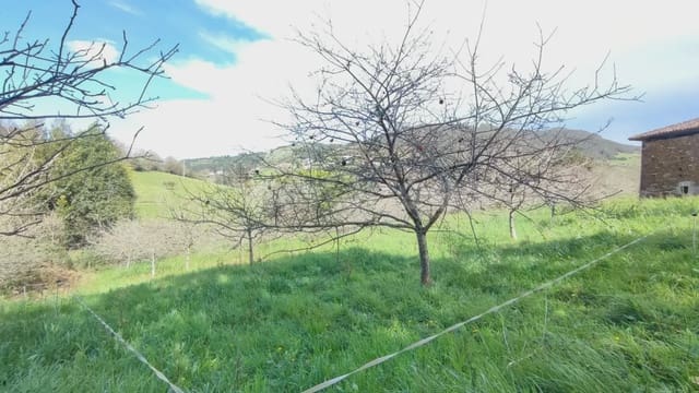 Tomt till salu i Candamo - 37 500 € (Ref: 9730536)