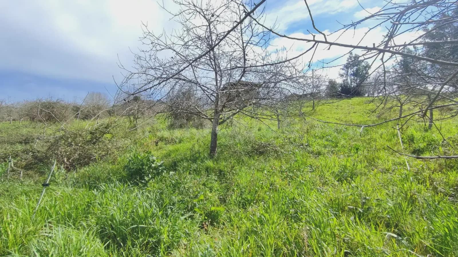 Building Plot for sale in Candamo - € 37,500 (Ref: 9730536)