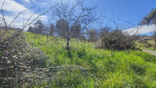 Tomt till salu i Candamo - 37 500 € (Ref: 9730536)