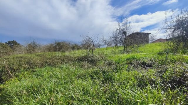 Tomt till salu i Candamo - 37 500 € (Ref: 9730536)