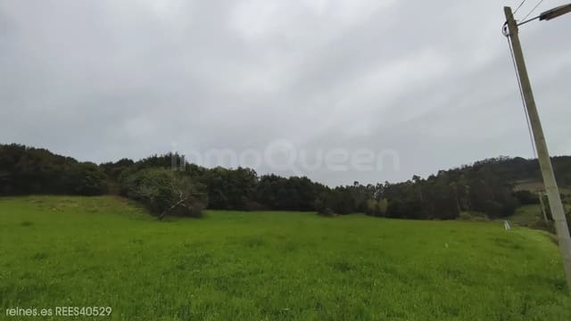 Undeveloped Land for sale in Soto del Barco - € 110,000 (Ref: 9730541)