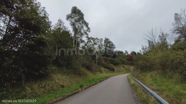 Undeveloped Land for sale in Soto del Barco - € 110,000 (Ref: 9730541)