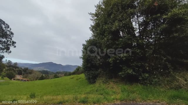 Undeveloped Land for sale in Soto del Barco - € 110,000 (Ref: 9730541)