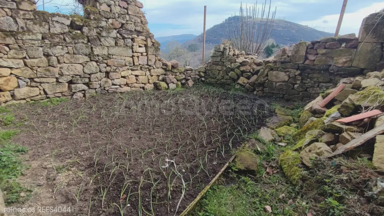 5 bedroom Finca/Country House for sale in Cieza - € 95,000 (Ref: 9730542)