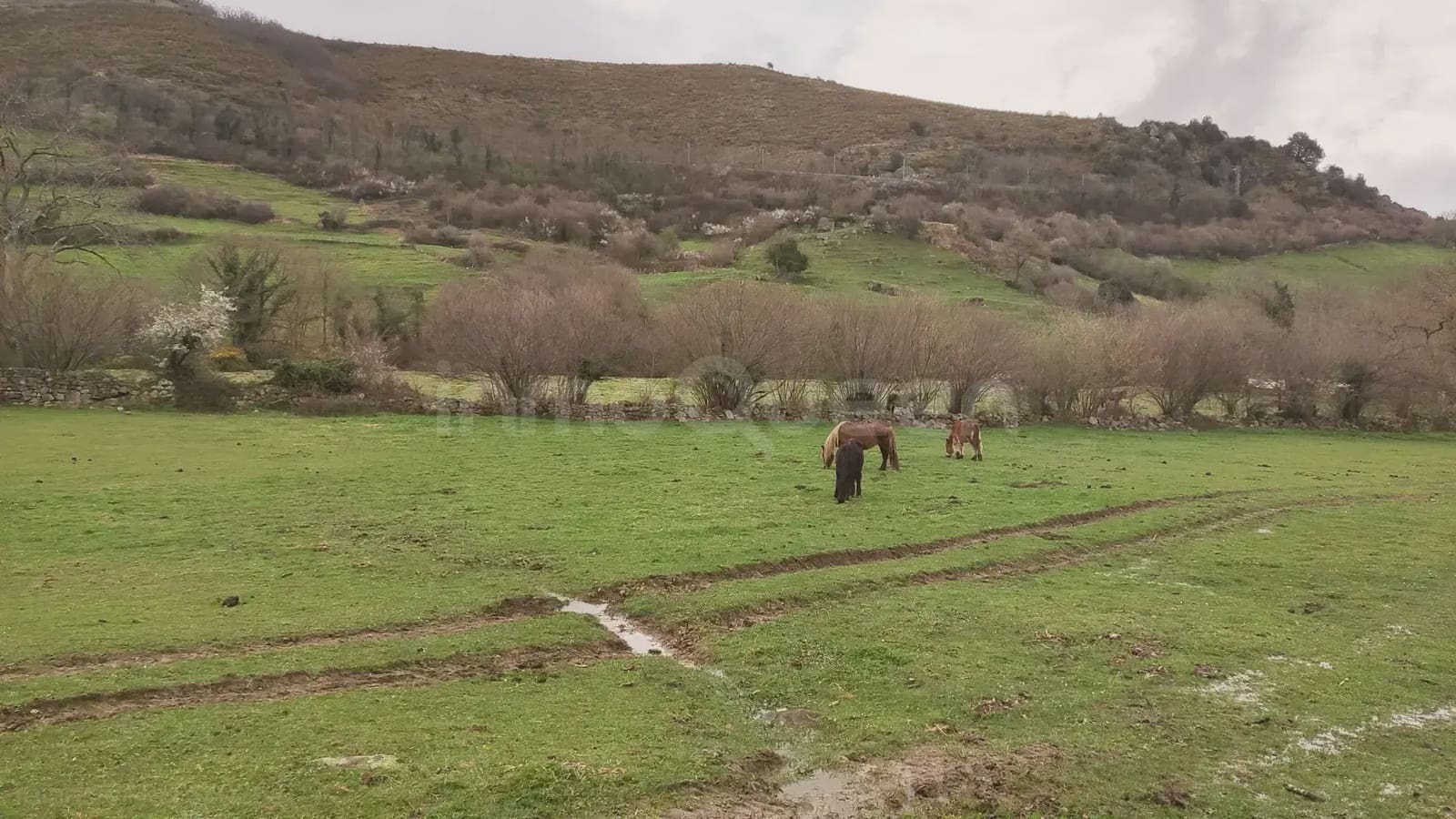 Grunde uden byggetilladelser til salg i Barcena de Pie de Concha - € 119.000 (Ref: 9763455)