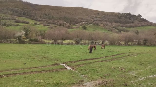 Grunde uden byggetilladelser til salg i Bárcena de Pie de Concha - € 119.000 (Ref: 9763455)