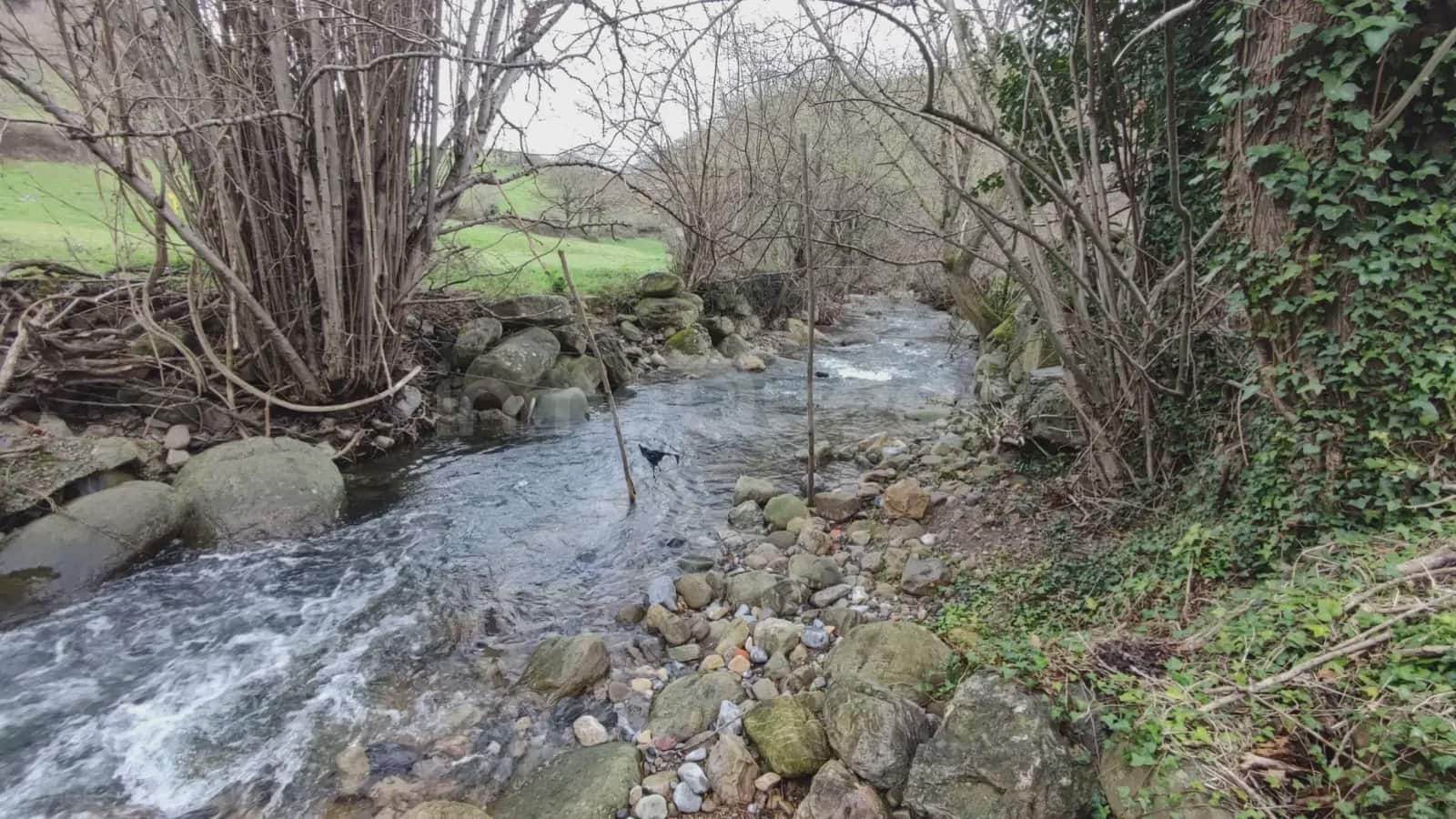 Grunde uden byggetilladelser til salg i Barcena de Pie de Concha - € 119.000 (Ref: 9763455)