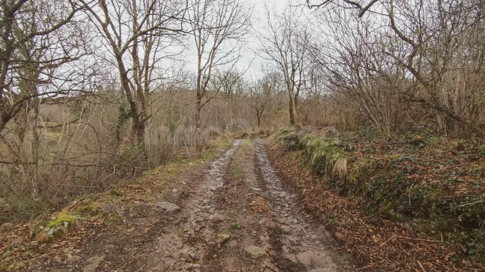 Grunde uden byggetilladelser til salg i Barcena de Pie de Concha - € 119.000 (Ref: 9763455)