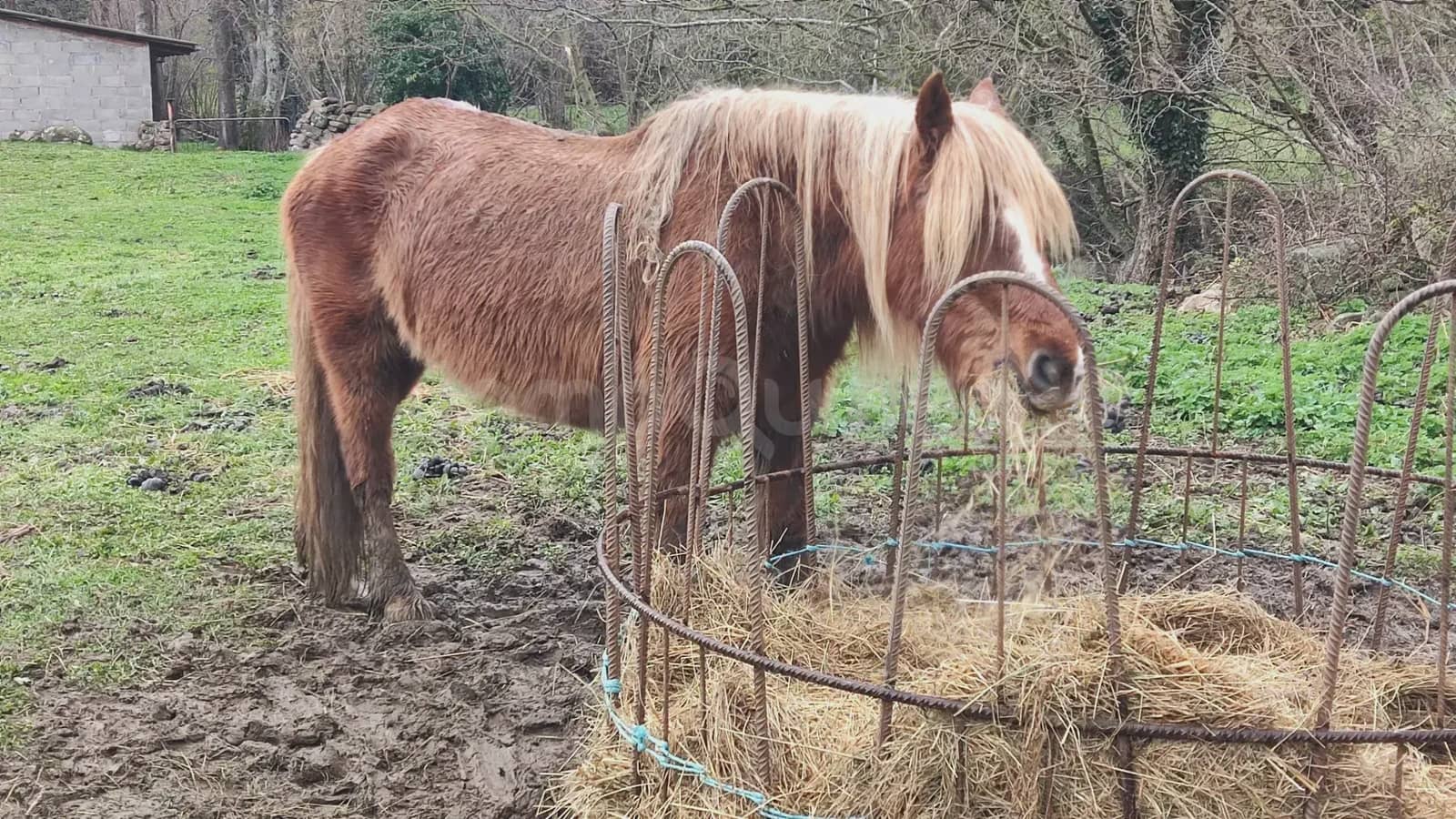 Grunde uden byggetilladelser til salg i Barcena de Pie de Concha - € 119.000 (Ref: 9763455)