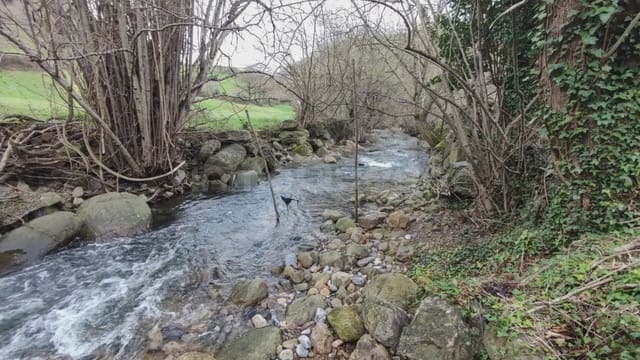 Grunde uden byggetilladelser til salg i Bárcena de Pie de Concha - € 119.000 (Ref: 9763455)