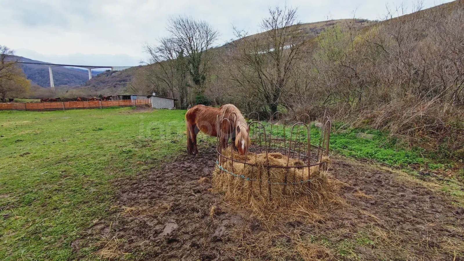 Grunde uden byggetilladelser til salg i Barcena de Pie de Concha - € 119.000 (Ref: 9763455)