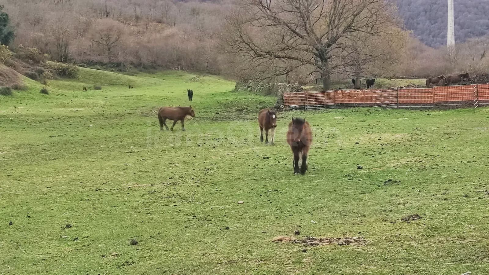 Grunde uden byggetilladelser til salg i Barcena de Pie de Concha - € 119.000 (Ref: 9763455)