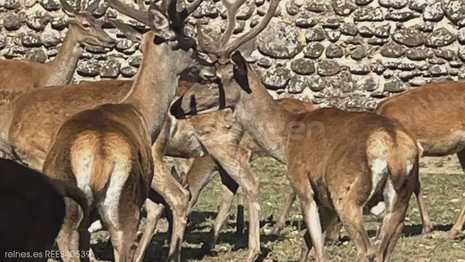 2 bedroom Flat for sale in Jaca - € 320,000 (Ref: 9797533)