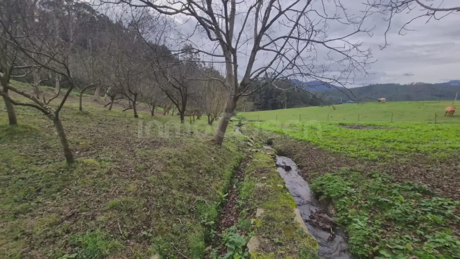 8 sypialnia Finka/Dom wiejski na sprzedaż w Mondonedo z garażem - 499 000 € (Ref: 9798322)