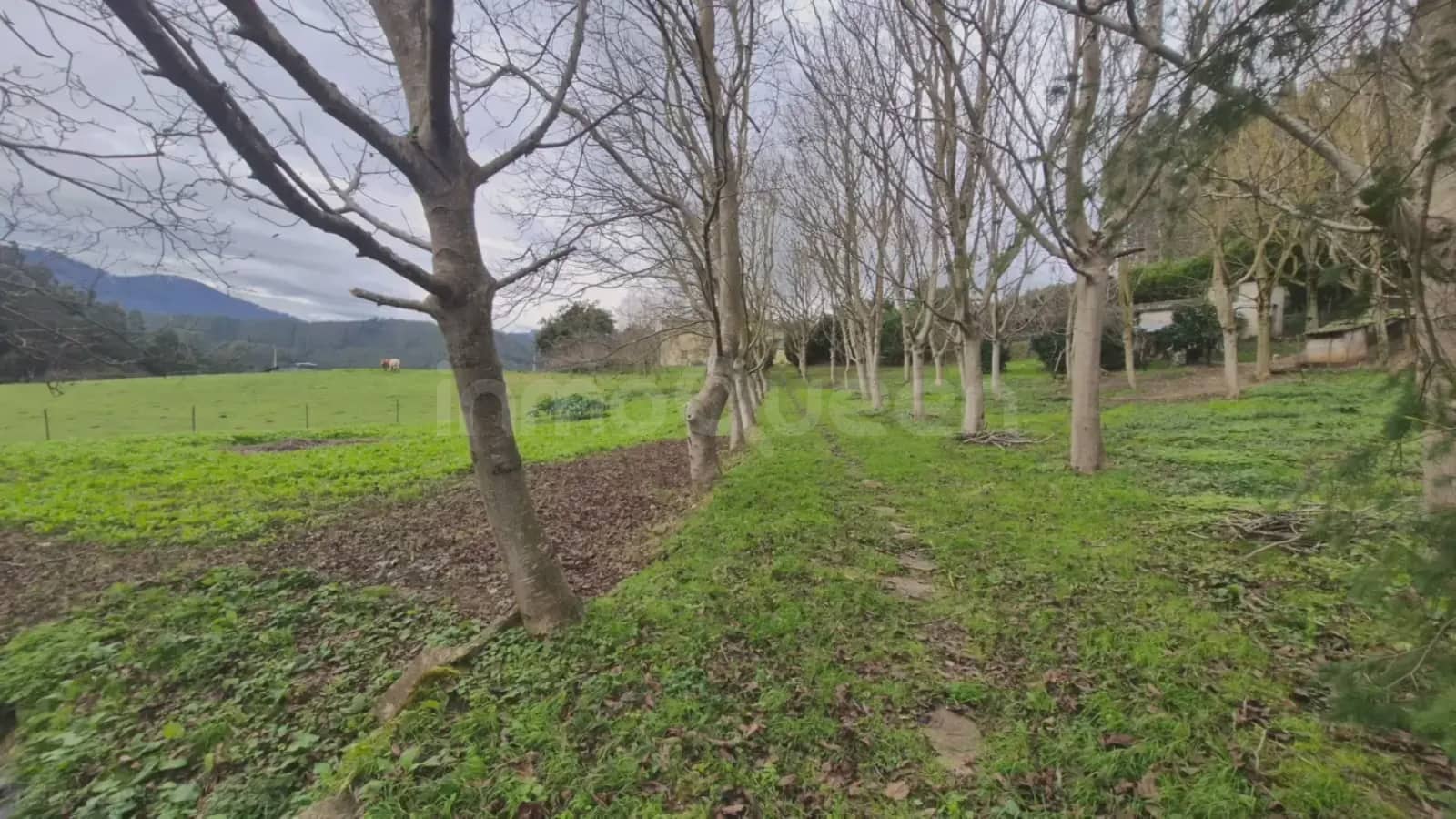 8 sypialnia Finka/Dom wiejski na sprzedaż w Mondonedo z garażem - 499 000 € (Ref: 9798322)