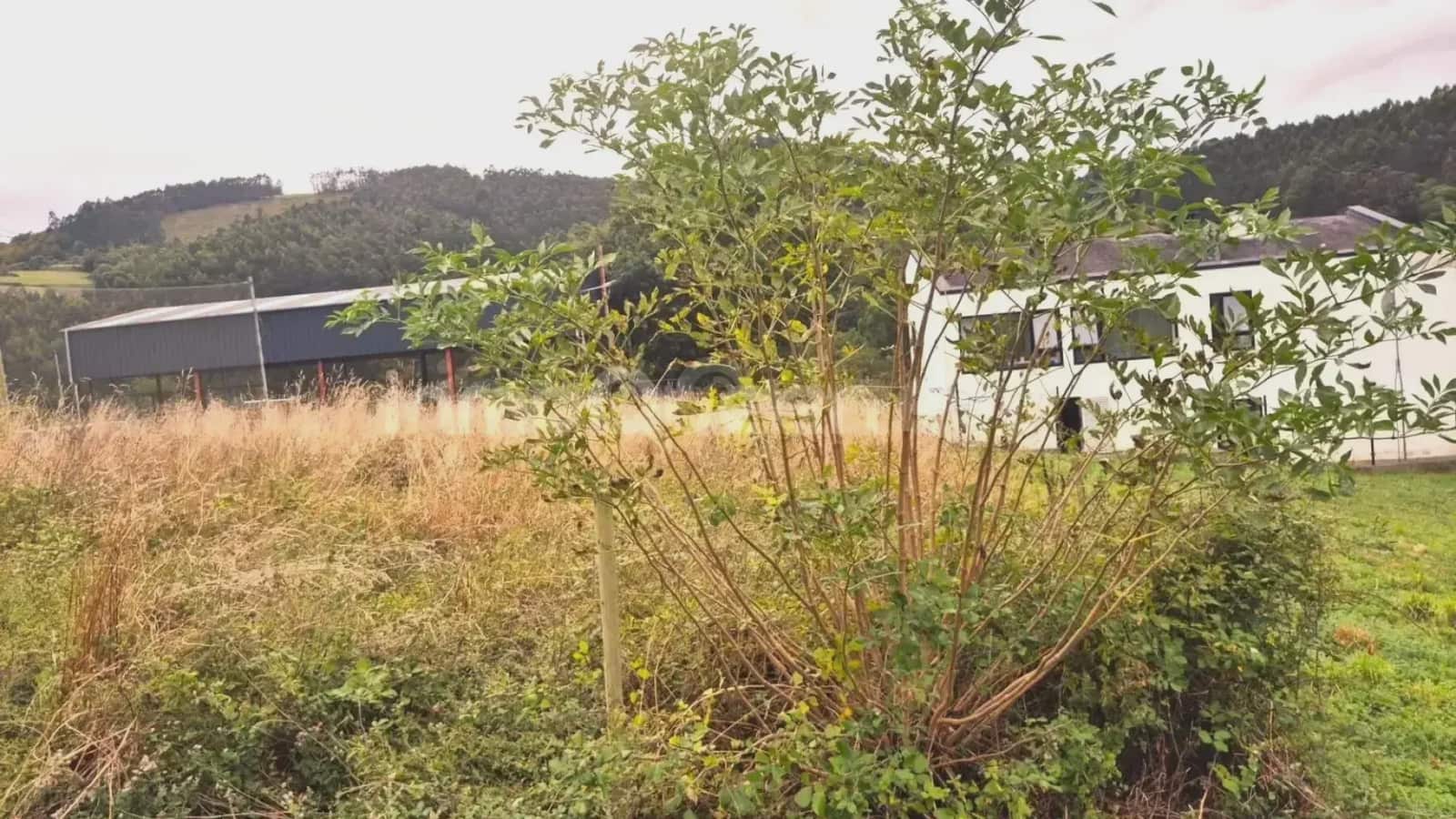 Area Edificabile in vendita in Vegadeo - 80.000 € (Rif: 9798328)