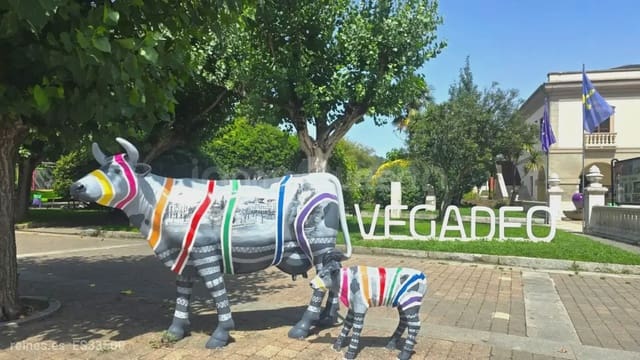 Area Edificabile in vendita in Vegadeo - 80.000 € (Rif: 9798328)