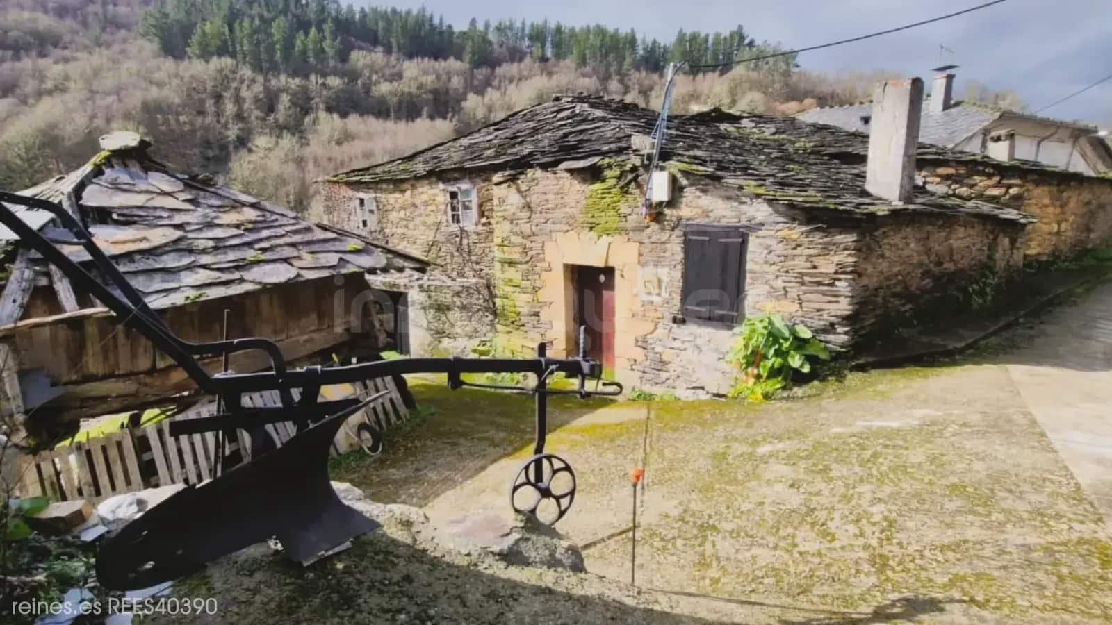 Finka/Dom wiejski na sprzedaż w Santa Eulalia de Oscos - 32 000 € (Ref: 9798334)