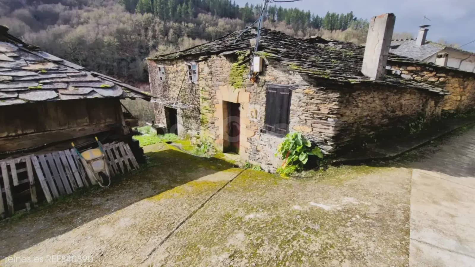 Finka/Dom wiejski na sprzedaż w Santa Eulalia de Oscos - 32 000 € (Ref: 9798334)