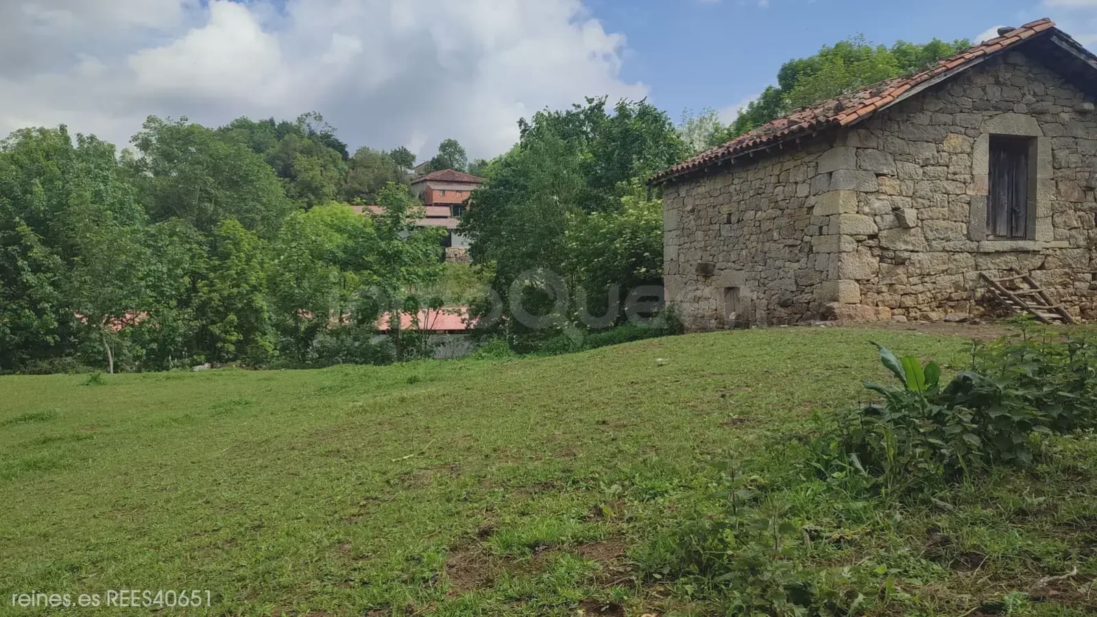 Grunde uden byggetilladelser til salg i Grado - € 19.000 (Ref: 9820876)