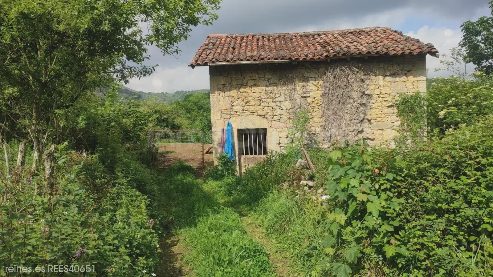 Grunde uden byggetilladelser til salg i Grado - € 19.000 (Ref: 9820876)