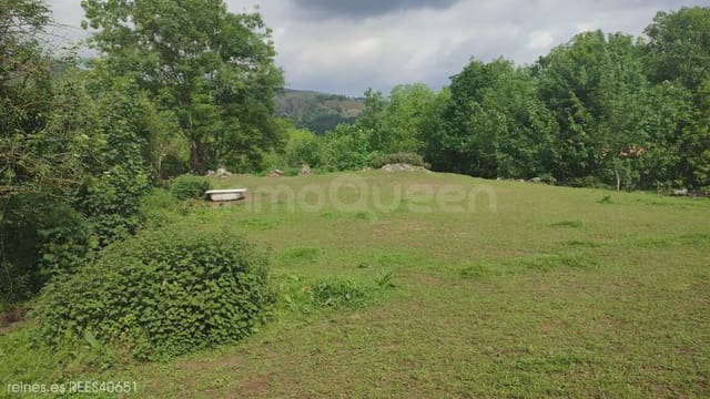 Grunde uden byggetilladelser til salg i Grado - € 19.000 (Ref: 9820876)
