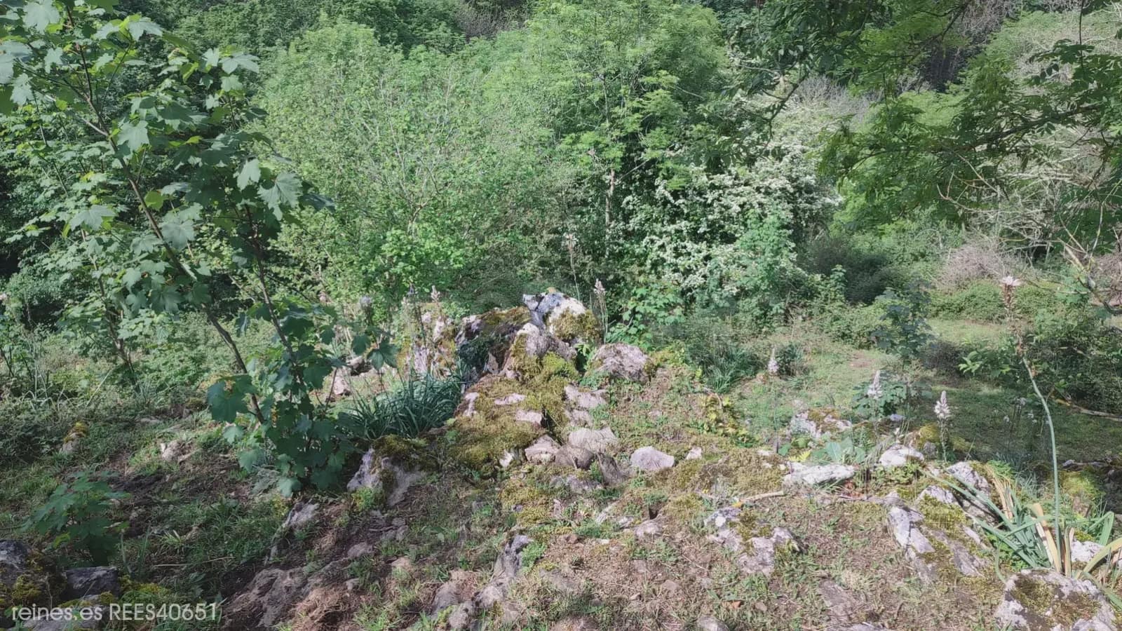 Grunde uden byggetilladelser til salg i Grado - € 19.000 (Ref: 9820876)