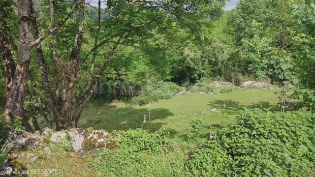 Grunde uden byggetilladelser til salg i Grado - € 19.000 (Ref: 9820876)