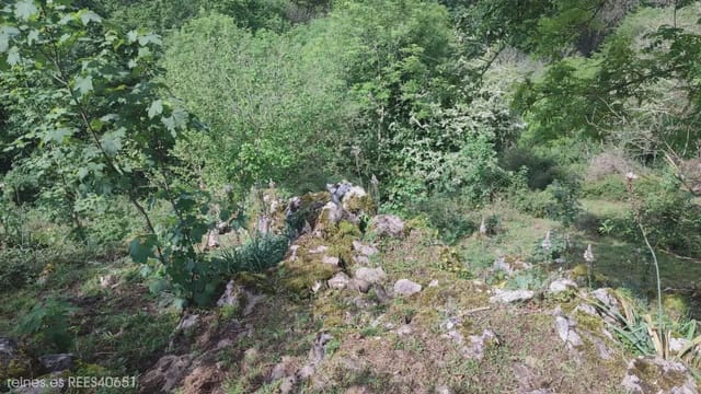 Grunde uden byggetilladelser til salg i Grado - € 19.000 (Ref: 9820876)