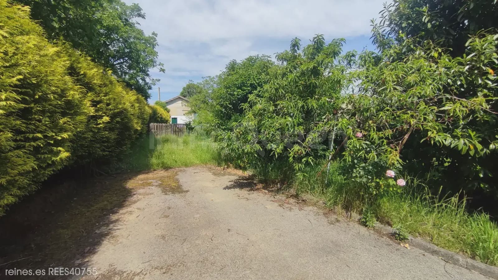 4 bedroom Finca/Country House for sale in Nava - € 450,000 (Ref: 9919101)