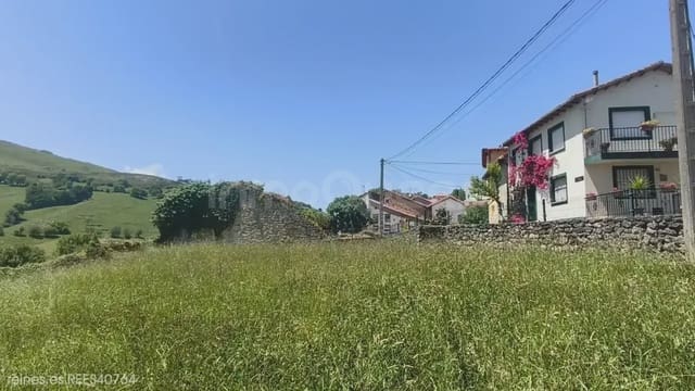 Bauplatz zu verkaufen in Peñamellera Baja - 140.000 € (Ref: 9922846)