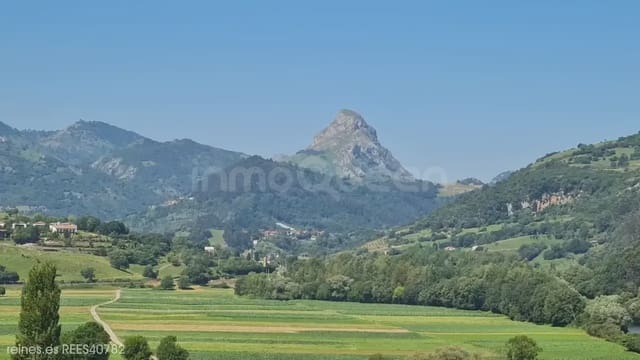 3 chambre Finca/Maison de Campagne à vendre à Peñamellera Alta - 97 000 € (Ref: 9942883)