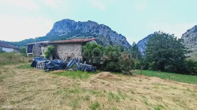 Finca/Herregård til salgs i Peñamellera Alta - € 90 000 (Ref: 9971516)