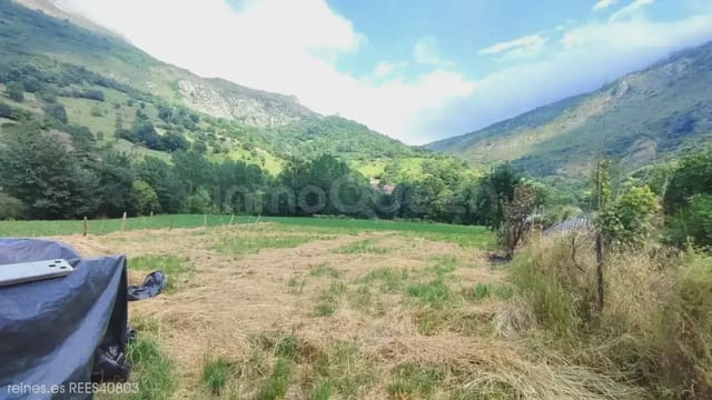 Finca/Herregård til salgs i Peñamellera Alta - € 90 000 (Ref: 9971516)
