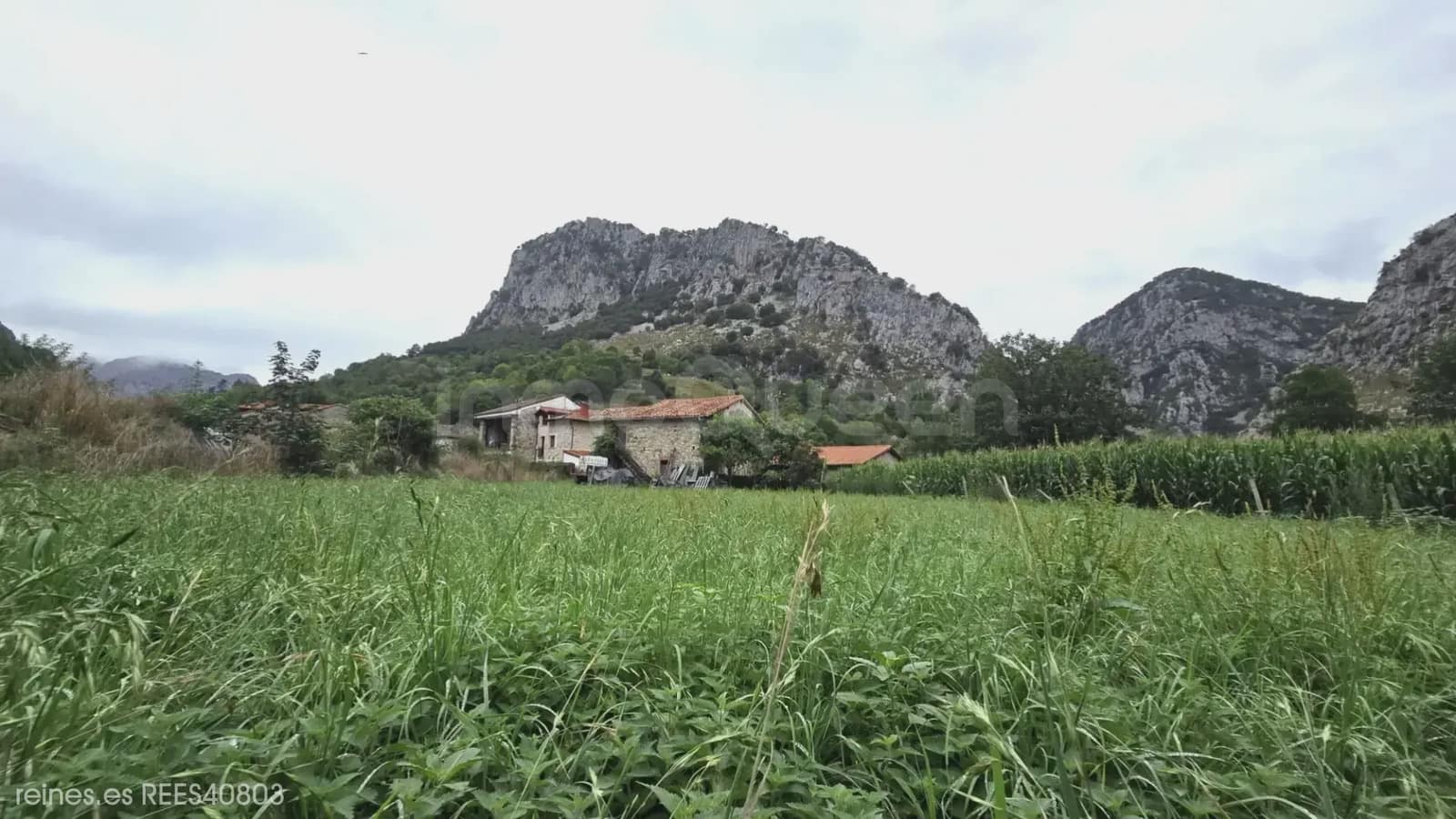 Finca/Landehus til salg i Penamellera Alta - € 90.000 (Ref: 9971516)