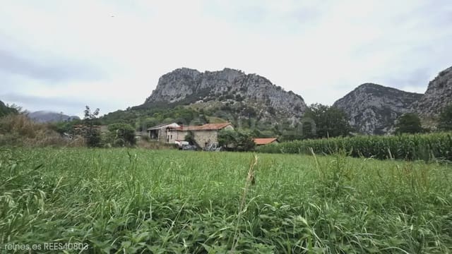 Finca/Landehus til salg i Peñamellera Alta - € 90.000 (Ref: 9971516)