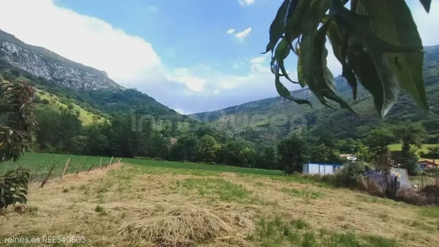 Finca/Landehus til salg i Peñamellera Alta - € 90.000 (Ref: 9971516)