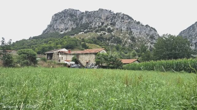 Finca/Landehus til salg i Peñamellera Alta - € 90.000 (Ref: 9971516)