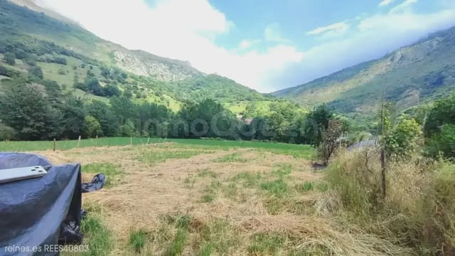 Finca/Landehus til salg i Peñamellera Alta - € 90.000 (Ref: 9971516)