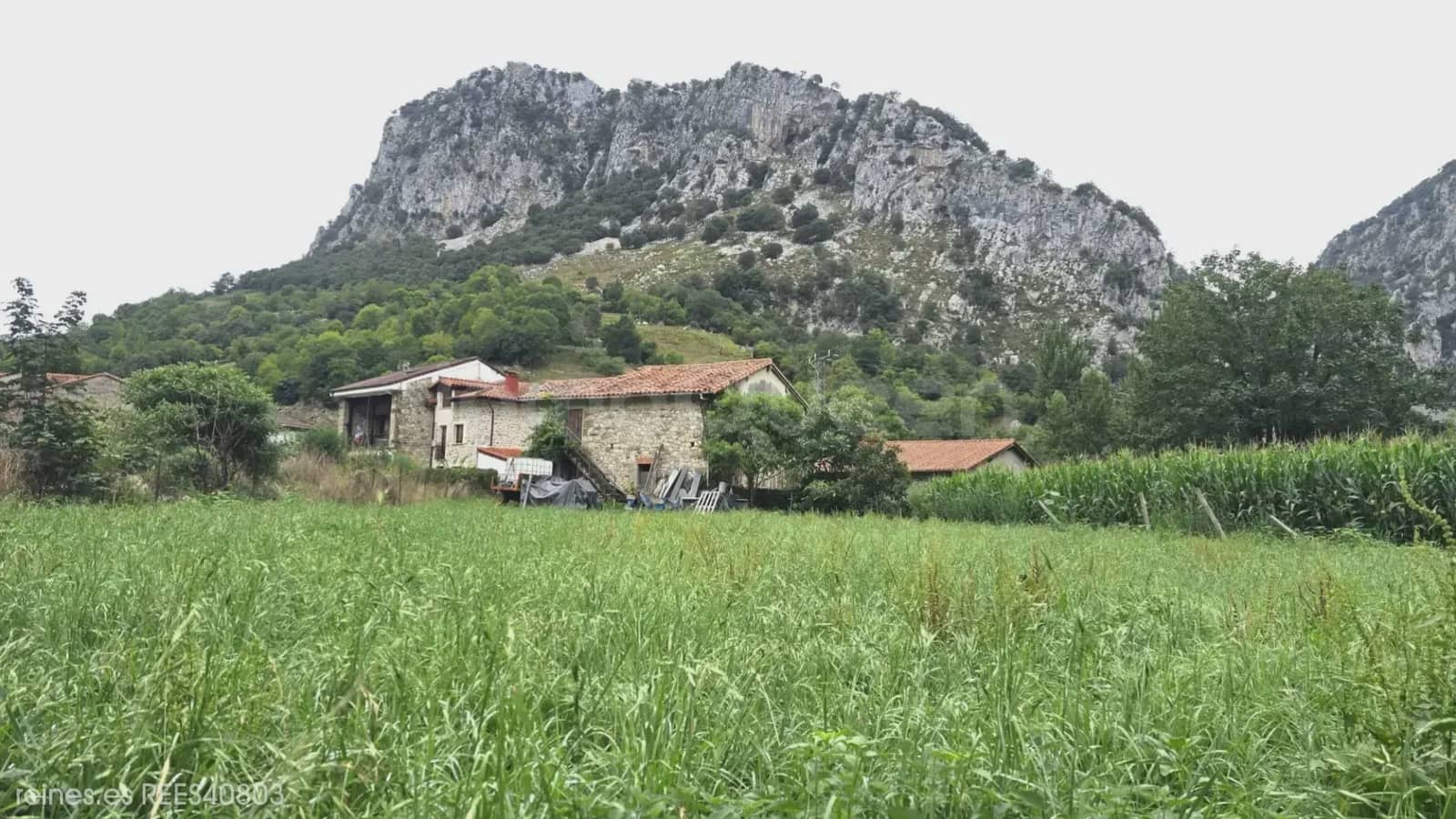 Finca/Landehus til salg i Penamellera Alta - € 90.000 (Ref: 9971516)
