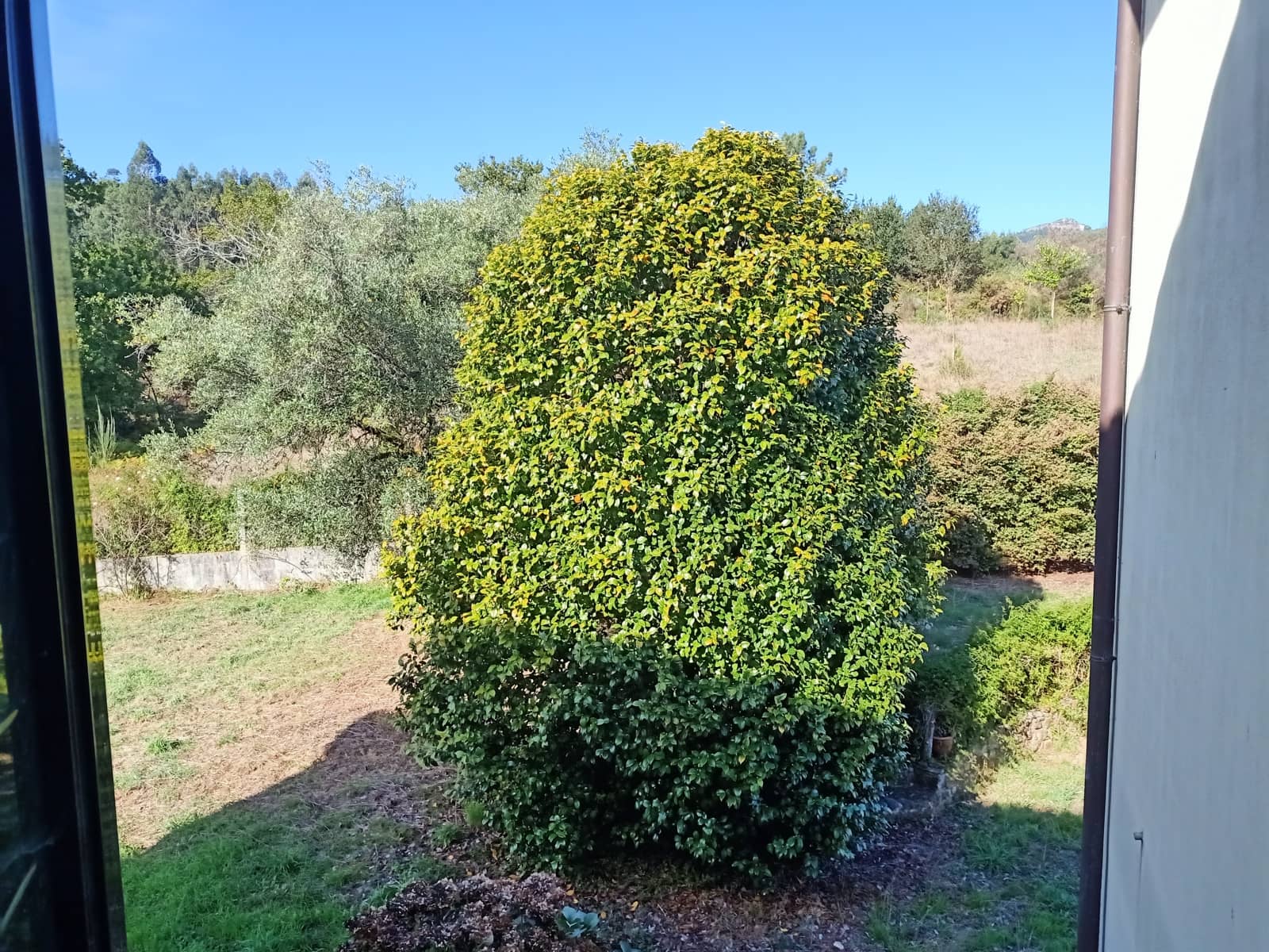 6 camera da letto Villa in vendita in Vedra con piscina garage - 380.000 € (Rif: 9366908)